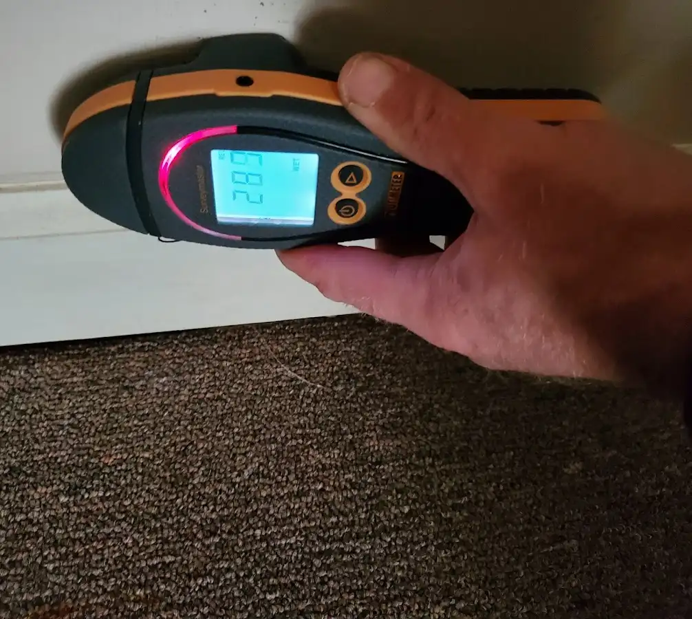 Moisture detection at baseboard during Mold Inspection & Testing in Blair